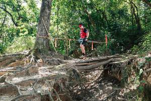 BIB: 
                            <button type="button" onclick="openModal(27800729)" class="btn btn-primary btn-sm float-right btn-popup" data-toggle="modal" data-target=".modal-high-quality">
                        <i class="fas fa-shopping-cart"></i> Add to Cart
                    </button>
                                            <button type="button" onclick="isThisMe(27800729, true)" class="btn btn-success btn-sm float-right btn-popup btn-isme hidden" data-toggle="tooltip" data-placement="bottom" title="นี่คือรูปของคุณใช่ไหม คลิกที่นี่เพื่อเอาเข้าอัลบั้ม">
                        <i class="fas fa-plus"></i> Add to album
                    </button>
                    <button type="button" onclick="isThisMe(27800729, false)" class="btn btn-warning btn-sm float-right btn-popup btn-isnotme hidden">
                        <i class="fas fa-ban"></i> Remove from album
                    </button>